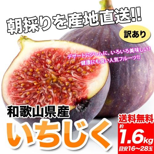 和歌山県産 訳あり イチジク いちじく 1 6kｇ 400g 4パック 送料無料 訳ありご自宅用なのでジャムやコンポートにも使える生いちじく 無花果 Wwi 16 Yamataベジフル Net 通販 Yahoo ショッピング