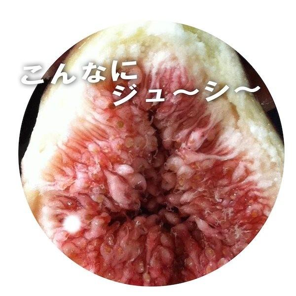 和歌山県産 訳あり イチジク いちじく 3.2kg【400g×8パック】送料無料