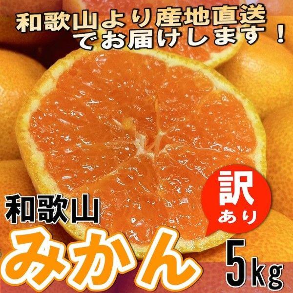 和歌山県産 訳あり みかん ミカン 5kg (傷あり サイズ不揃い ご自宅用)  【送料無料】　＊１０月中旬以降より順次発送｜yamatanet