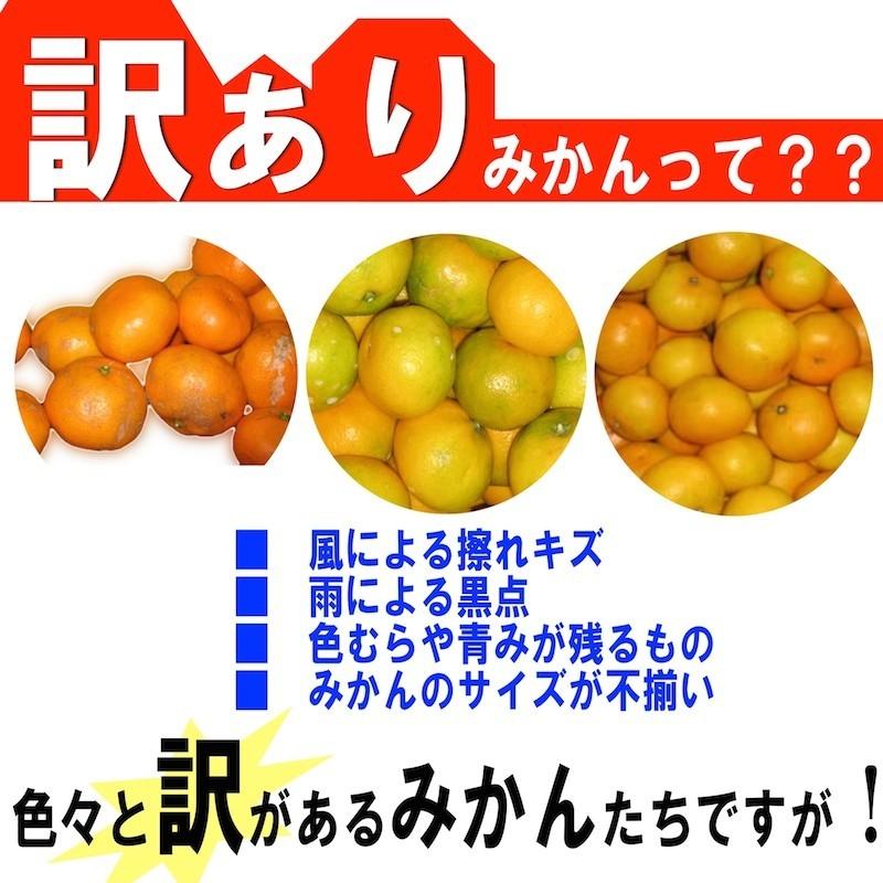 和歌山県産 訳あり みかん ミカン 5kg (傷あり サイズ不揃い ご自宅用)  【送料無料】　＊１０月中旬以降より順次発送｜yamatanet｜02