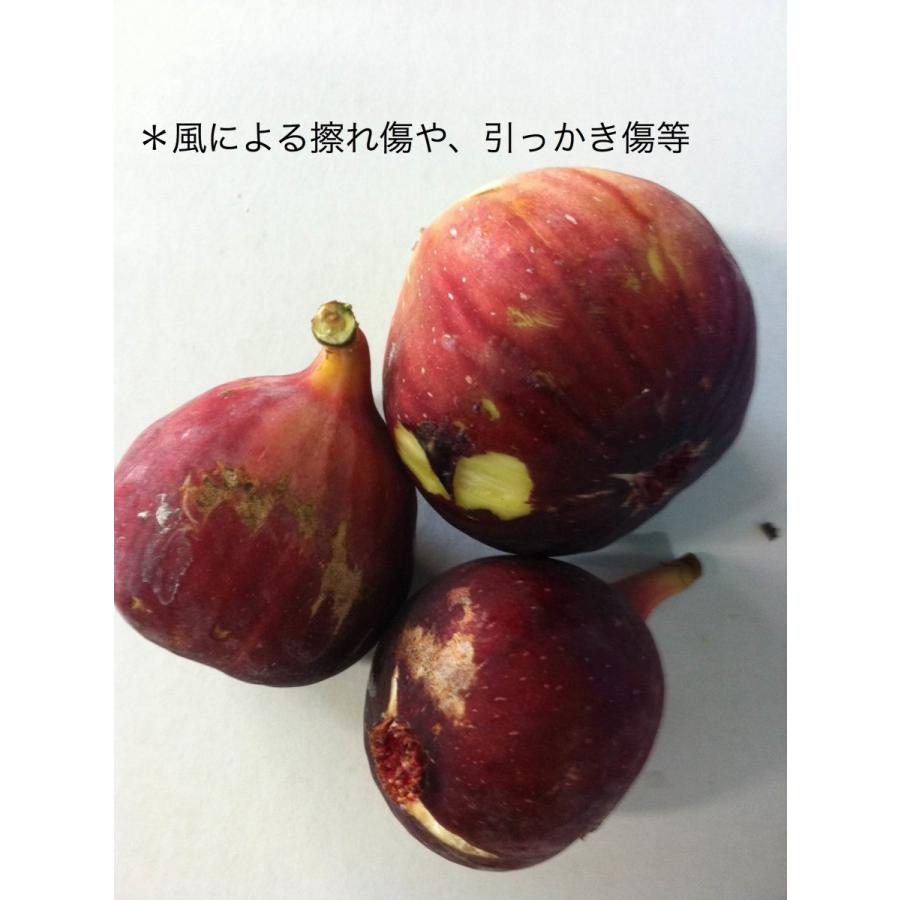 和歌山県産 訳あり 冷凍いちじく 500g : YAMATAベジフル.net - 通販