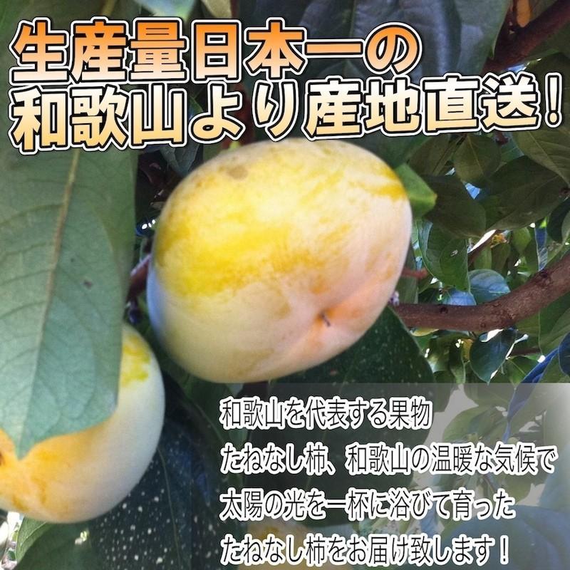 数量限定大セール】和歌山県産 訳あり たねなし柿 10kg 【送料無料】ご