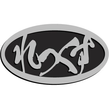 レックスエンブレム 楕円形 ステンレスヘアーライン仕上げ 【スバル