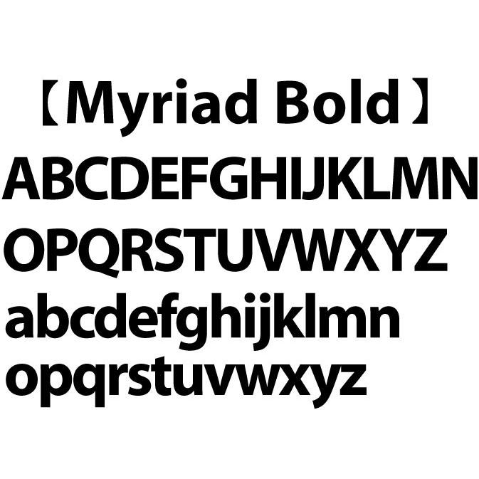 表札　戸建て表札　ステンレス製切文字　５ｍｍ厚　書体【Myriad Bold】切り文字表札・おしゃれな切り文字｜yamato-design｜02