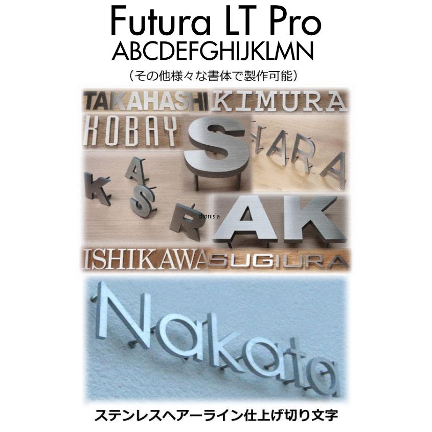表札 戸建て表札 ステンレス製 厚み5mm 人気の書体【Futura-LT-Pro