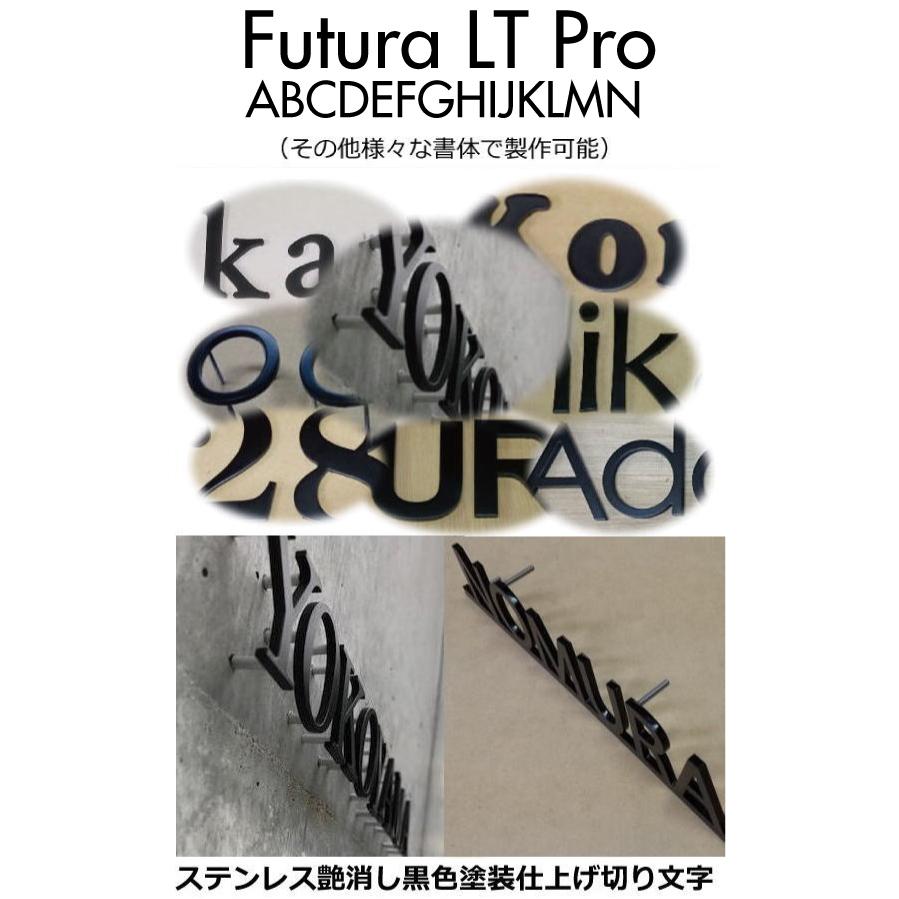 戸建て表札 切り文字 表札 ステンレス艶消し黒色5mm厚 【Futura-LT