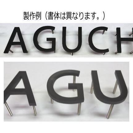 戸建て表札 切り文字 表札 ステンレス艶消し黒色5mm厚 【Futura-LT