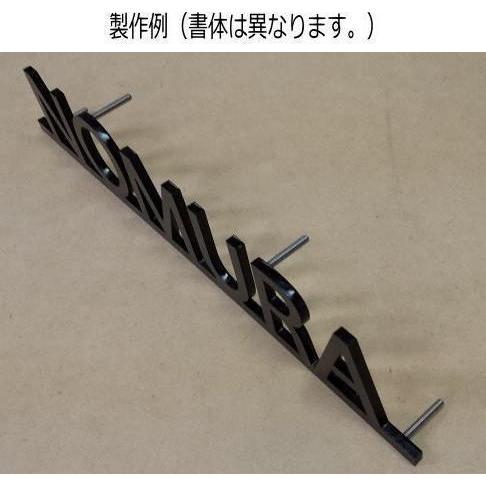 ステンレス表札　切り文字　大西 切り文字 表札 戸建て表札 ステンレス艶消し黒色4mm厚 書体