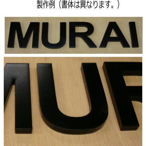 切り文字 表札 戸建て表札 ステンレス艶消し黒色4mm厚 書体