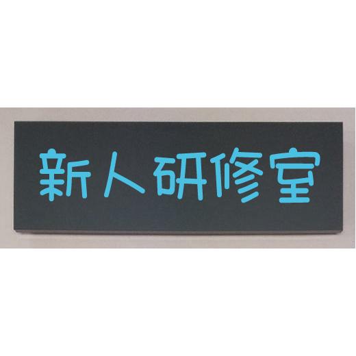 新人研修室　室名立体プレート　文字が水色でおしゃれなプレート｜yamato-design