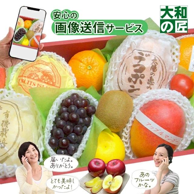 父の日 厳選果物屋 フルーツギフト10000 ギフト フルーツ専門店 送料