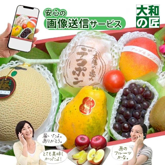 父の日 厳選果物屋 フルーツギフト20000 ギフト フルーツ専門店 送料