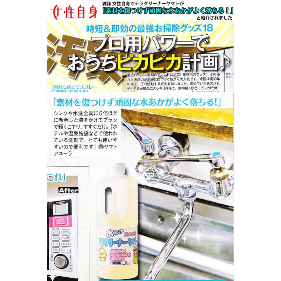 業務用水垢落とし洗剤 テラクリーナーヤマトEX お風呂の浴槽や鏡などの