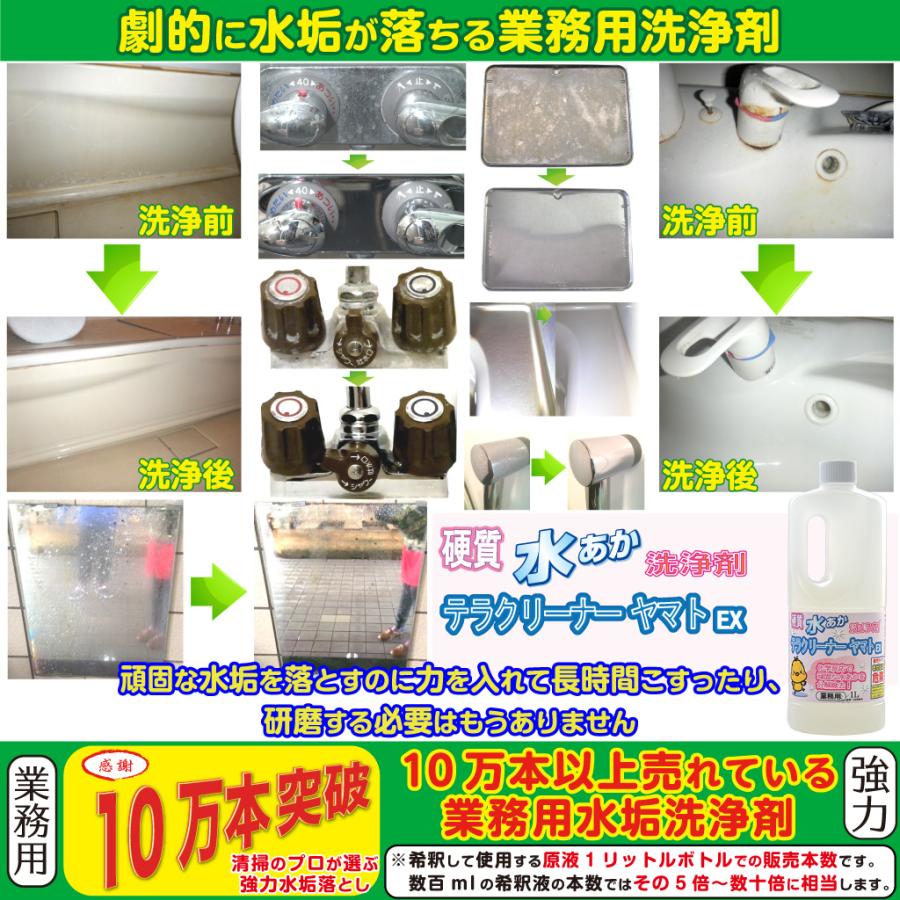 業務用水垢落とし洗剤 テラクリーナーヤマトEX 3本セット