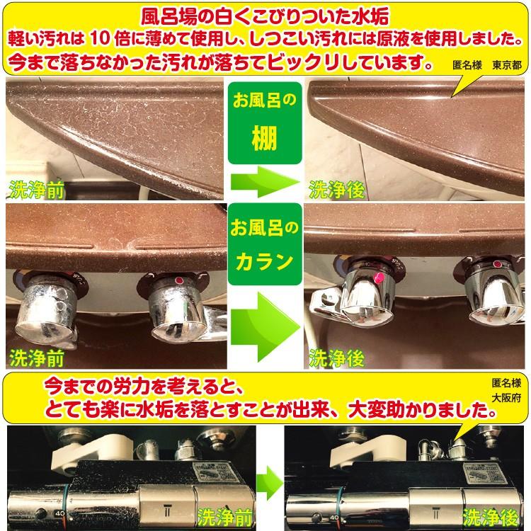 業務用水垢洗浄剤 テラクリーナーヤマトEX 水垢落とし 洗剤 水あか 取り 水垢 クリーナー 初回注文限定お試し価格＋返金保証 |  | 12