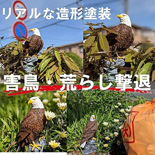 Revteds 鷹の置物ワシ 鳥よけ 害鳥対策 撃退 ベランダ鳩 カラス スズメ 害獣 猫 動物 ゴミ荒らし 見張り|yamatoko|02