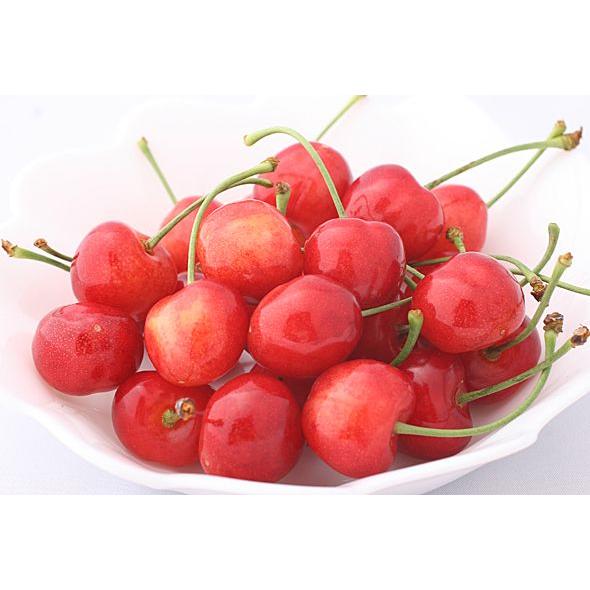 さくらんぼ「佐藤錦」１ｋｇ化粧箱入 |  | 03