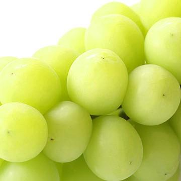 山梨県産ぶどう「種なしシャインマスカット」2房 約1.2kg 大房厳選