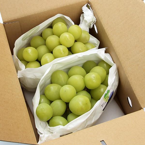 山梨県産ぶどう「種なしシャインマスカット」2房 約1.2kg 大房