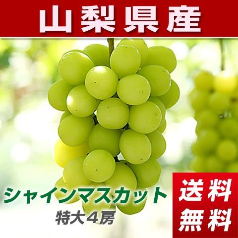 山梨県産ぶどう「種なしシャインマスカット」4房 約2.4kg 大房