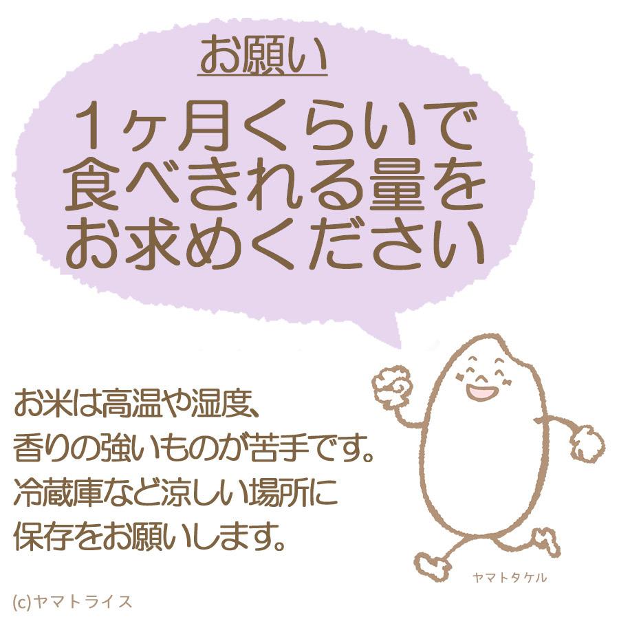 ヤマトライス 【祝!特A】富山県産 コシヒカリ 無洗米 10kg お米 ヤマトライス 【祝!特A】富山県産 コシヒカリ 無洗米 10kg お米