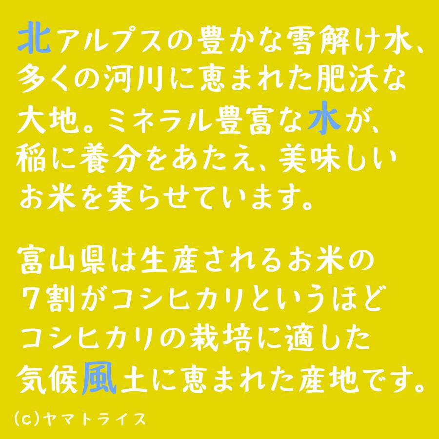 じーページ　令和4年産　富山県立山産コシヒカリ　精米20kg じーページ 令和4年産 富山県立山産コシヒカリ 精米20kg 富山県産
