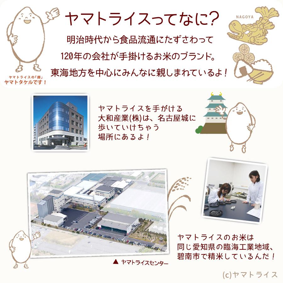 ヤマトライス 富山県産 コシヒカリ 無洗米 20kg お米 米 5kg×4 令和7
