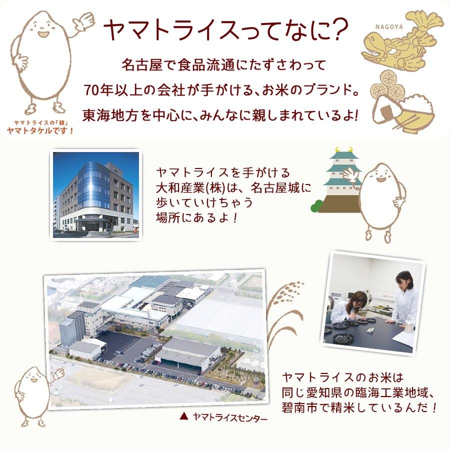 パックご飯 ゆめぴりか やわらかい玄米 150g×24個 北海道産 レトルトごはん 玄米 キャンプ 非常用 防災 おきかえ | ヤマトライス | 13