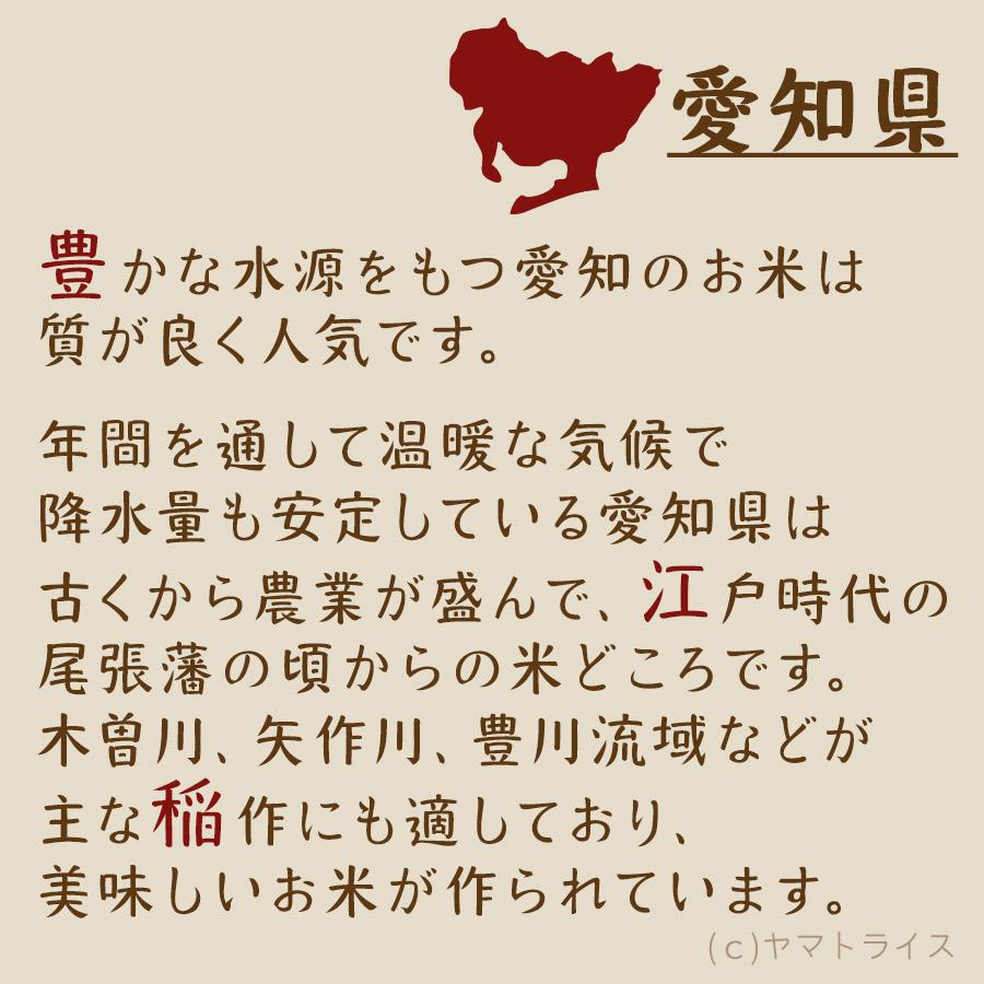 米 お米 10kg あいちのかおり 愛知県産 5kg×2 白米 令和5年産　｜yamatorice｜05