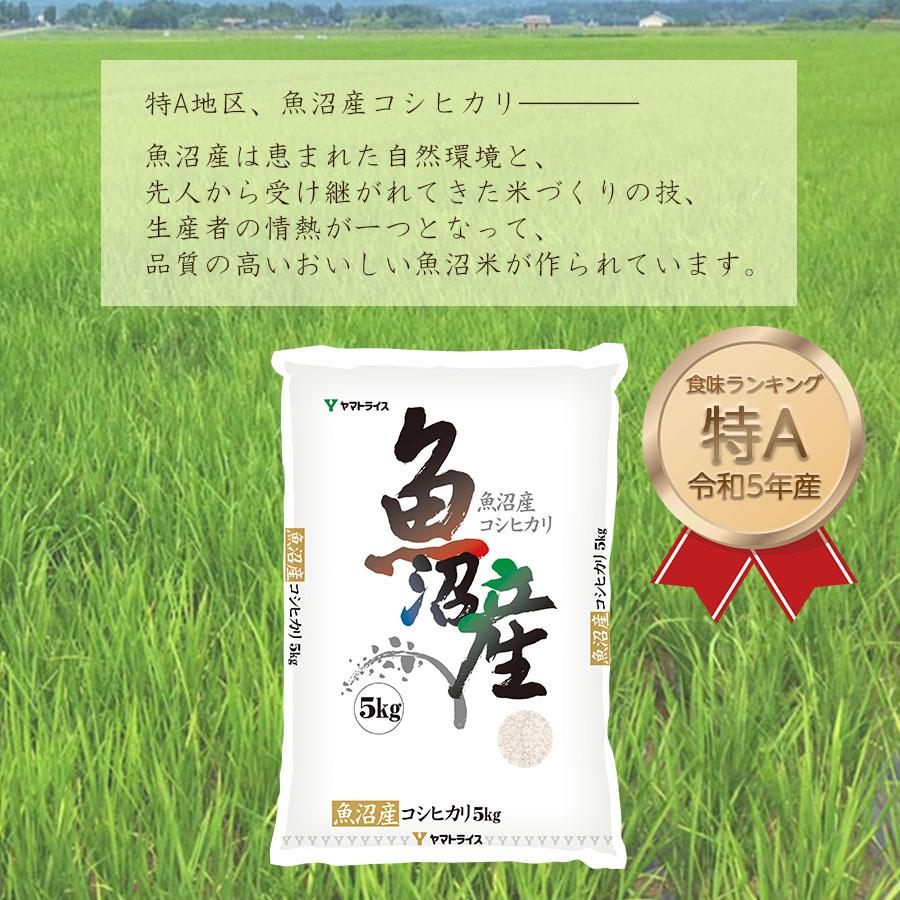 米 お米 魚沼 コシヒカリ 5kg 新潟県産 令和5年産 白米 贈答 特A｜yamatorice｜02