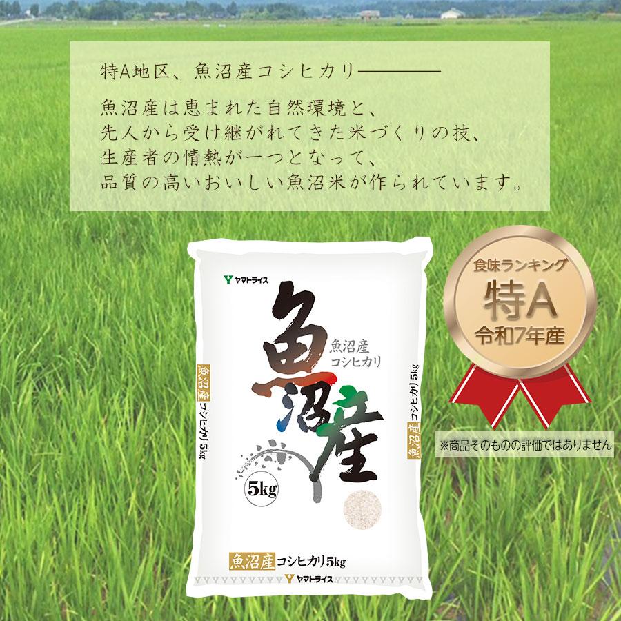 ヤマトライス 米 お米 魚沼 10kg コシヒカリ 新潟県産 5kg×2 令和7年産