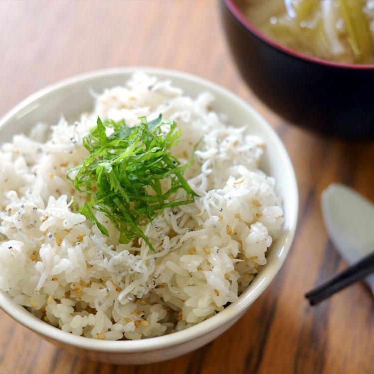 米 お米 10kg いちほまれ 福井県産 5kg×2 令和7年産 白米 お歳暮 お中元 特Aの画像