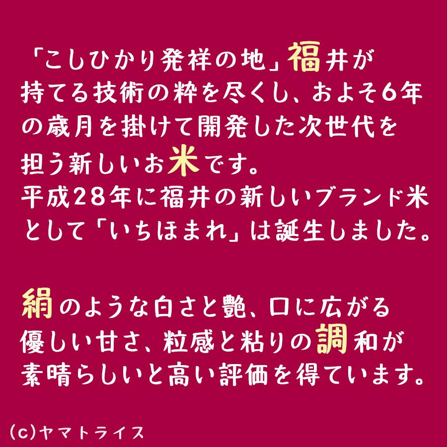 米 お米 10kg いちほまれ 福井県産 5kg×2 令和7年産 白米 お歳暮 お中元 特Aの画像