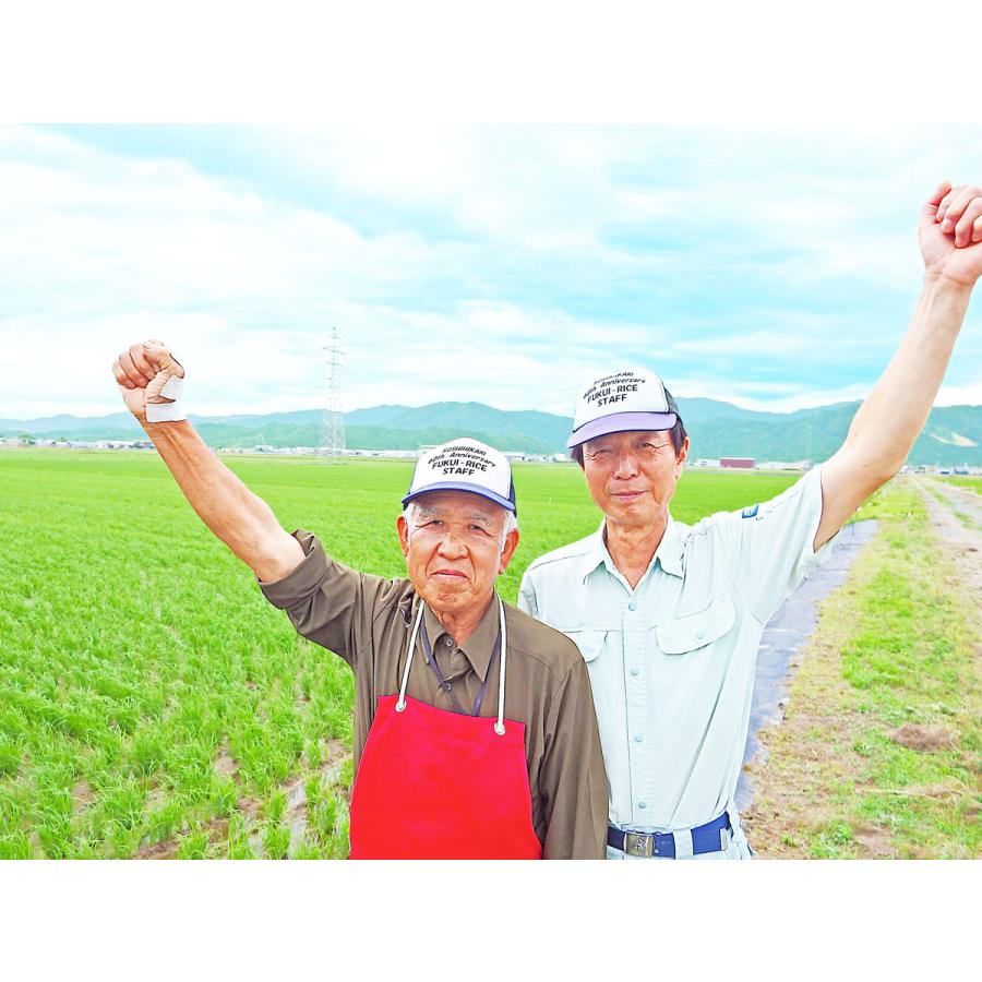 米 お米 10kg いちほまれ 福井県産 5kg×2 令和7年産 白米 お歳暮 お中元 特Aの画像