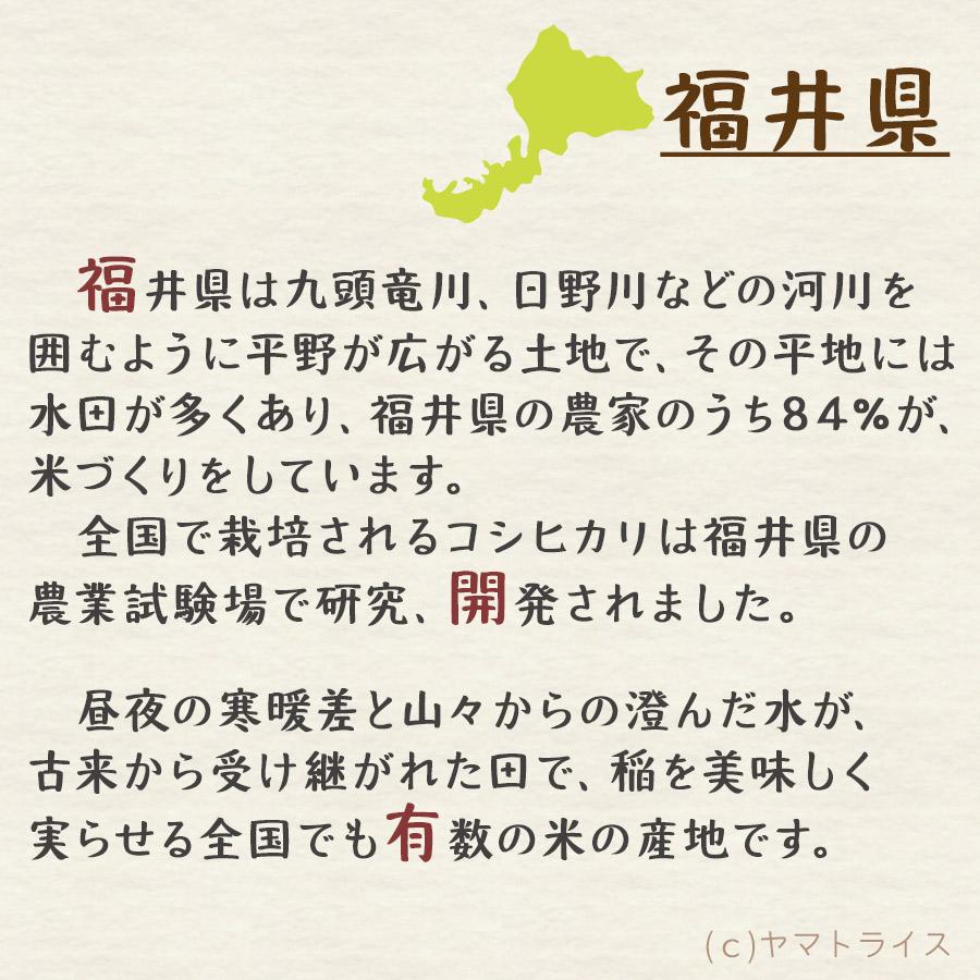 ヤマトライス 米 お米 10kg いちほまれ 福井県産 5kg×2 令和7年産 白米