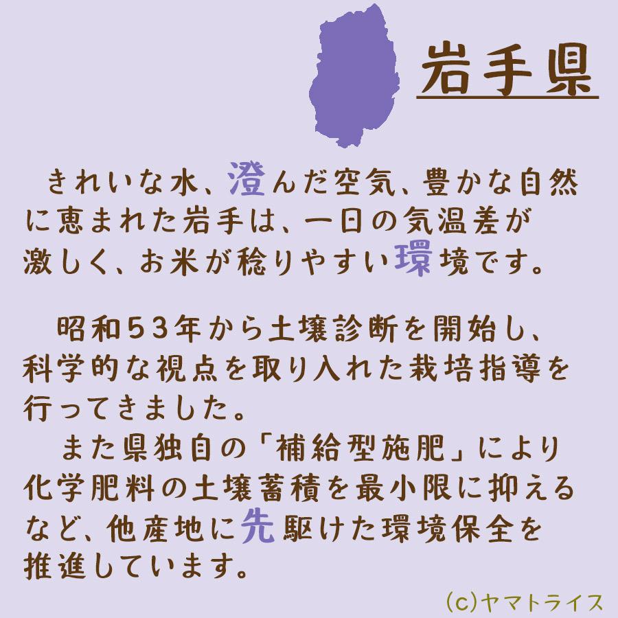 米 お米 銀河のしずく 5kg 贈り物 お中元 お歳暮 岩手県産 無洗米 令和5年産 ウマすぎンガー 数量限定｜yamatorice｜05