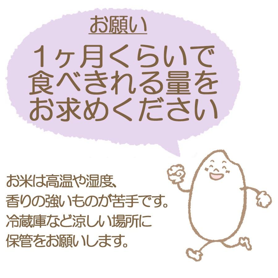 ヤマトライス 無洗米 米 お米 20kg まっしぐら 青森県産 5kg×4 令和7