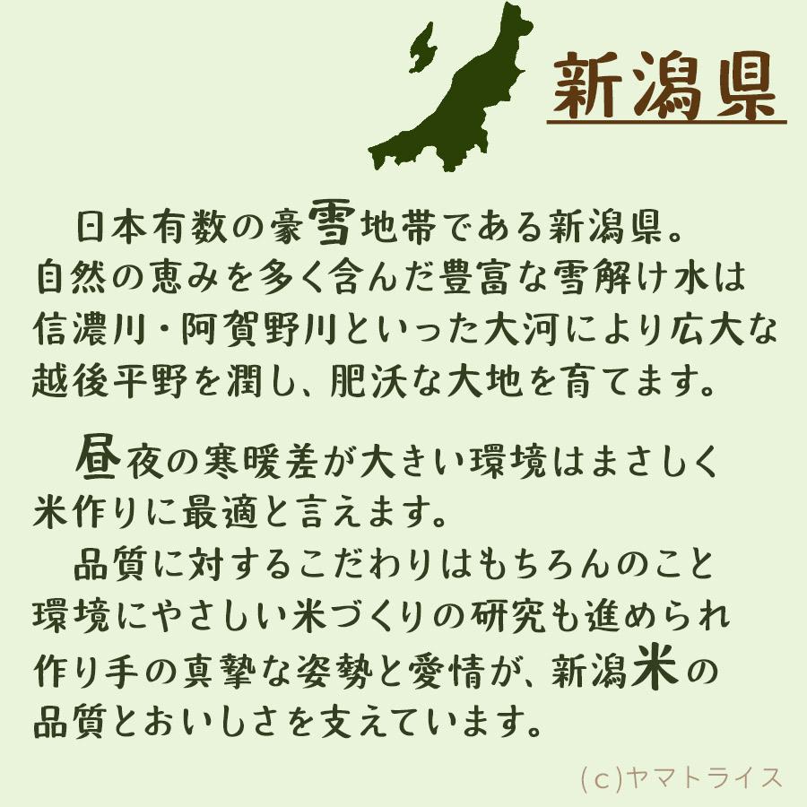 ヤマトライス 新潟県産 コシヒカリ 無洗米 20kg 米 お米 5kg×4 ヤマトライス 新潟県産 コシヒカリ 無洗米 20kg 米 お米 5kg×4