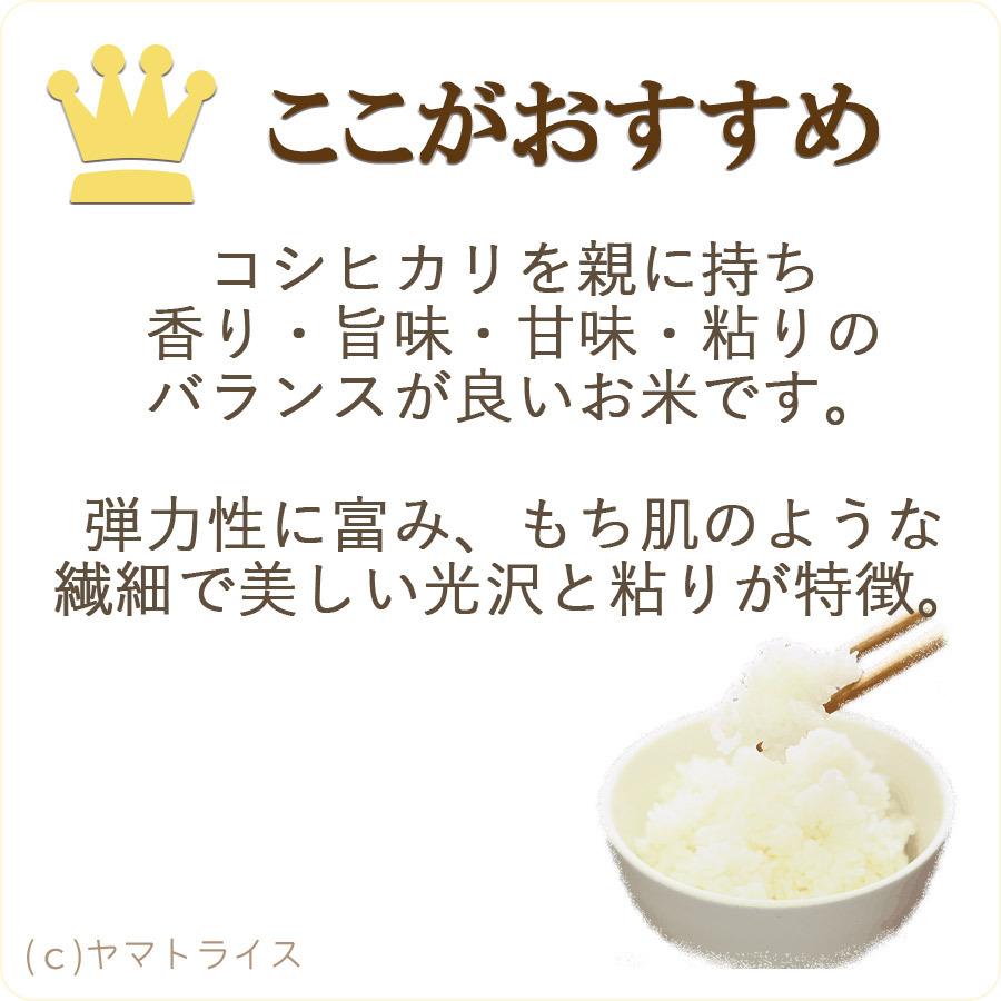 米 お米 あきたこまち 無洗米 10kg 秋田県産 5kg×2 令和5年産｜yamatorice｜07