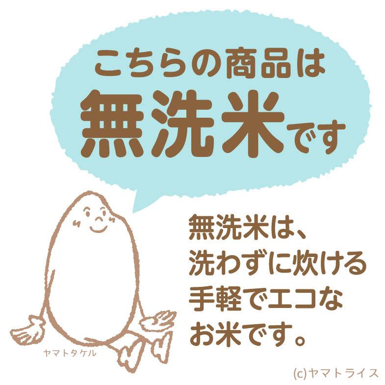 米 お米 あきたこまち 無洗米 10kg 秋田県産 5kg×2 令和5年産｜yamatorice｜09