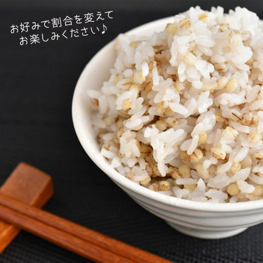 もち麦 国産 ダイシモチ 紫もち麦 滋賀県産 600g (300g×2袋)｜yamatorice｜07