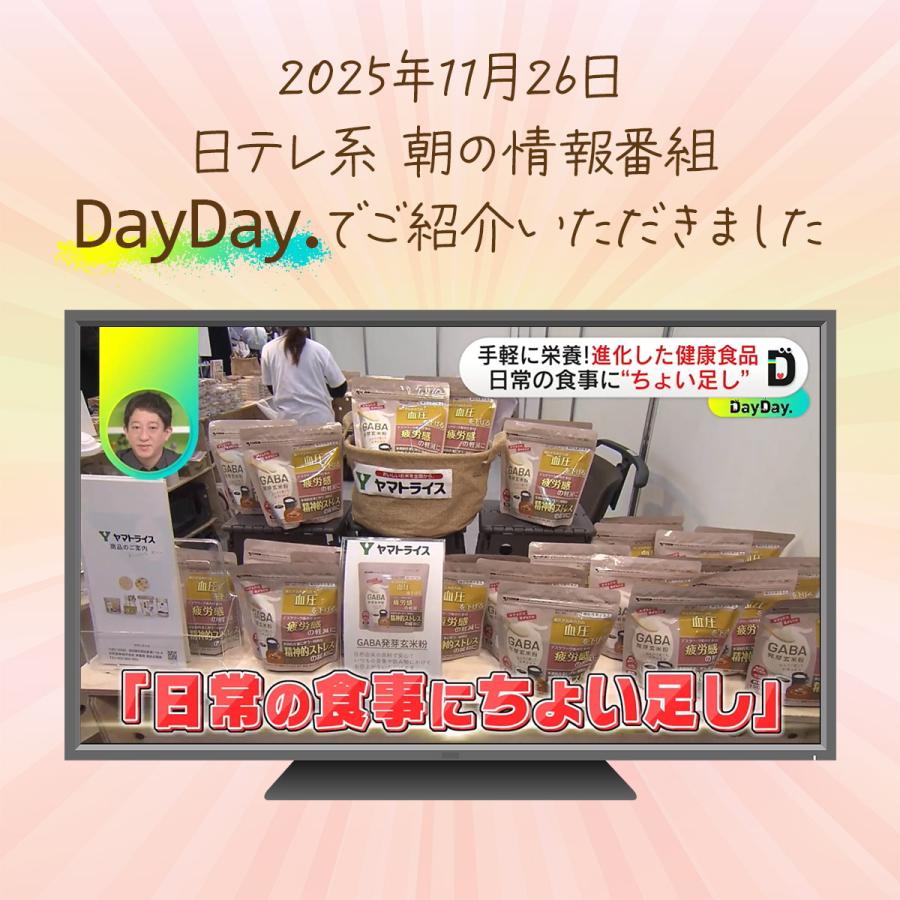 【機能性表示食品】 GABA 発芽玄米粉 900g（150g×6） 1ケース お米 顆粒 | ヤマトライス | 09