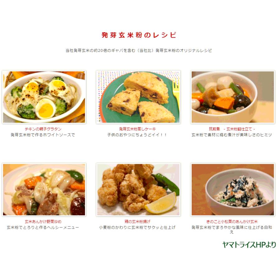 【機能性表示食品】 GABA 発芽玄米粉 900g（150g×6） 1ケース お米 顆粒 | ヤマトライス | 12