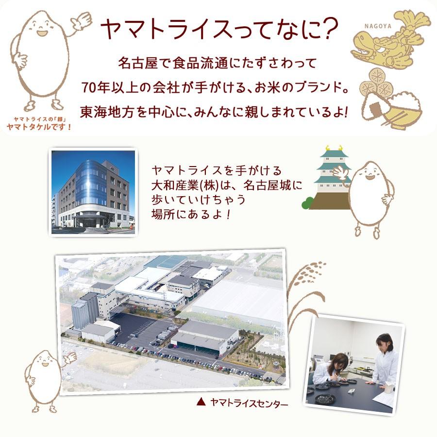 【機能性表示食品】 GABA 発芽玄米粉 900g（150g×6） 1ケース お米 顆粒 | ヤマトライス | 08