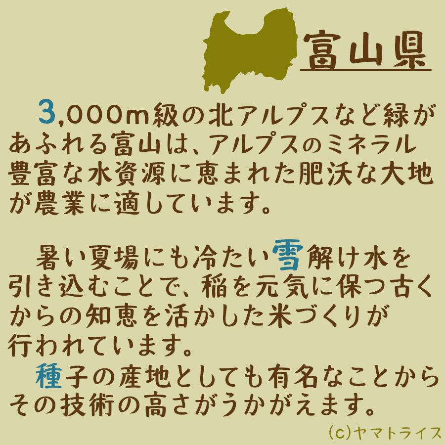 米 お米 5kg てんたかく 富山県産 白米 お米 令和5年産　｜yamatorice｜06