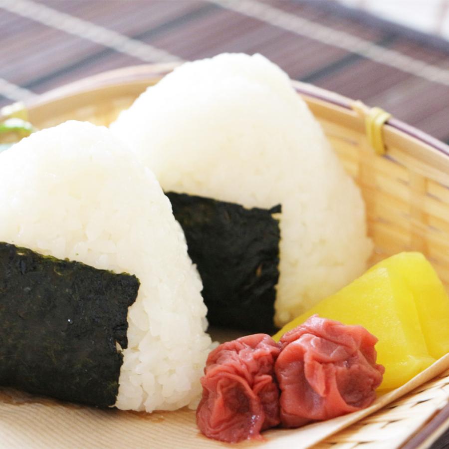 てんたかく 富山県産 10kg お米 米 白米 5kg×2 令和7年産 : ヤマト