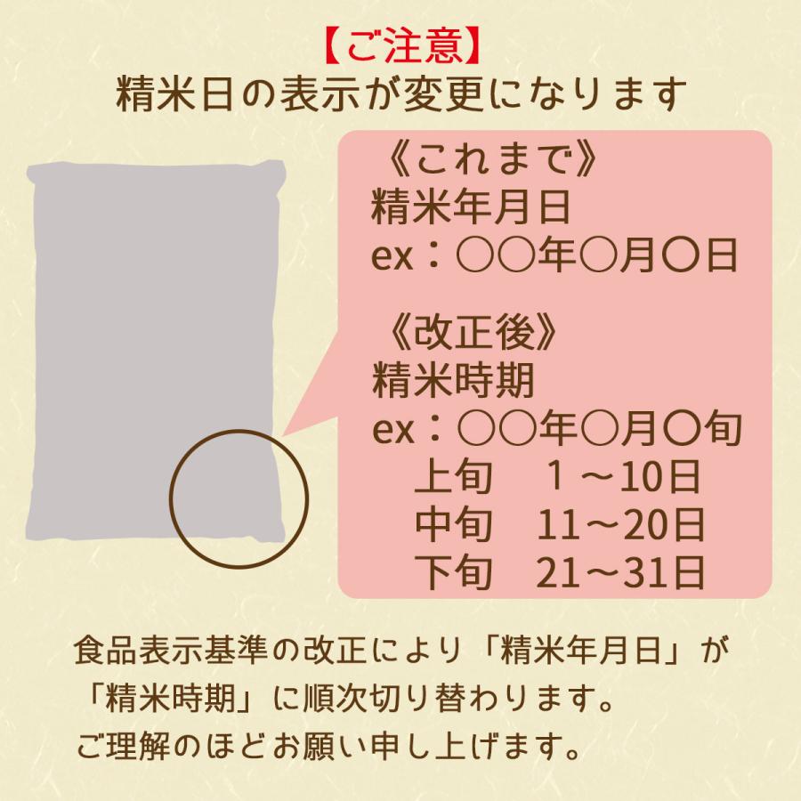 米 お米 10kg てんたかく 富山県産 白米 5kg 2 令和4年産 2 ヤマトライス Yahoo ショッピング店 通販 Yahoo ショッピング