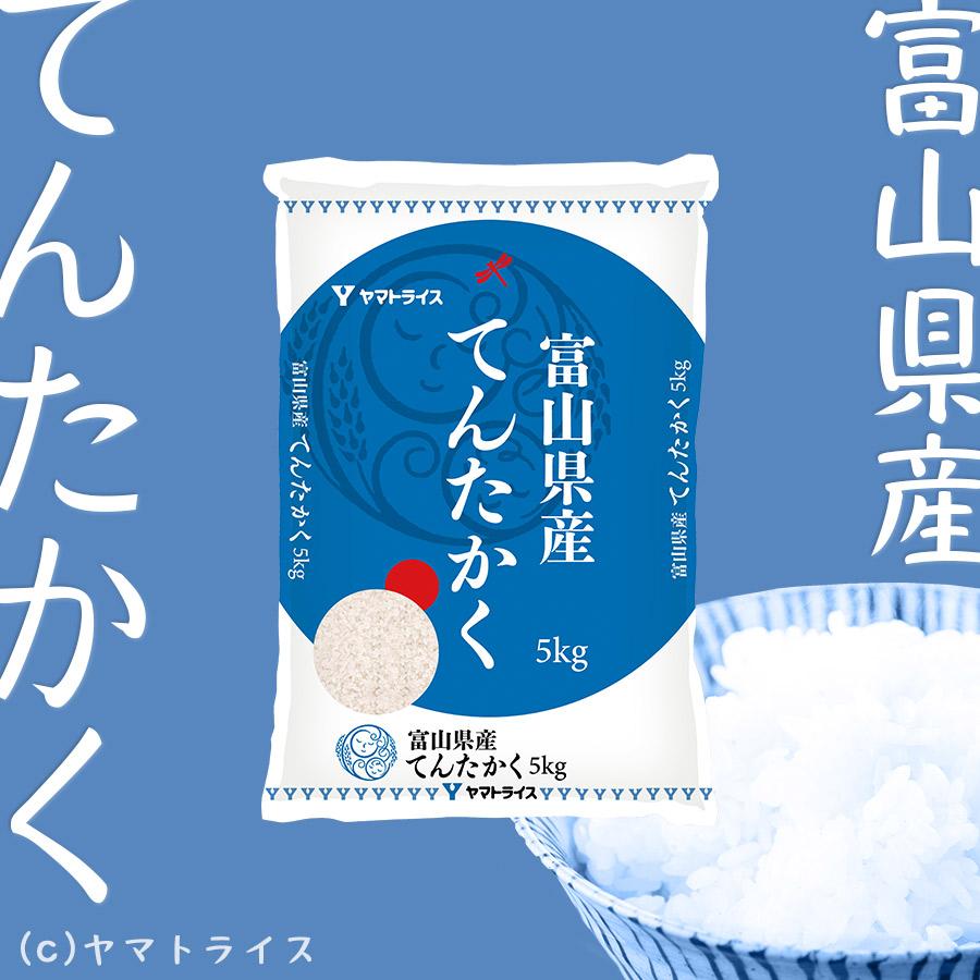 てんたかく 富山県産 20kg 米 お米 白米 5kg×4袋 令和7年産 : ヤマト