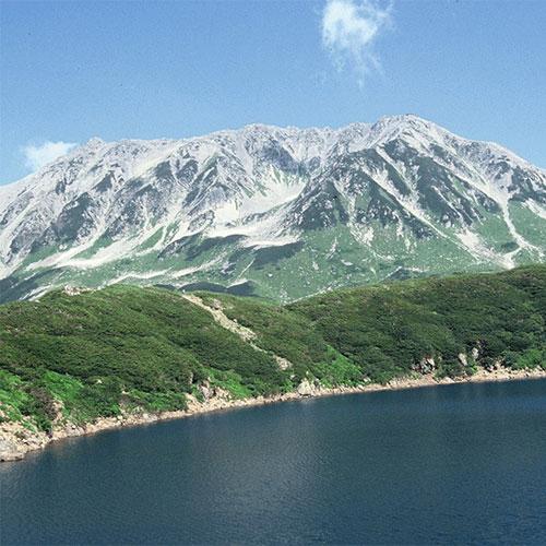 富山県産てんたかく新米20キロ 富山県産てんたかく 10kg(5kg×2)