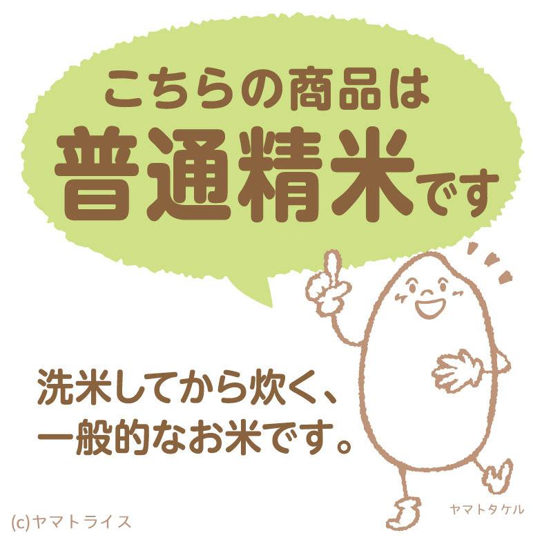 米 お米 20kg てんたかく 富山県産 白米 5kg×4袋 令和5年産｜yamatorice｜08